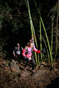 BIB: 
                            <button type="button" onclick="openModal(7007343)" class="btn btn-primary btn-sm float-right btn-popup" data-toggle="modal" data-target=".modal-high-quality">
                        <i class="fas fa-shopping-cart"></i> Add to Cart
                    </button>
                                            <button type="button" onclick="isThisMe(7007343, true)" class="btn btn-success btn-sm float-right btn-popup btn-isme hidden" data-toggle="tooltip" data-placement="bottom" title="นี่คือรูปของคุณใช่ไหม คลิกที่นี่เพื่อเอาเข้าอัลบั้ม">
                        <i class="fas fa-plus"></i> Add to album
                    </button>
                    <button type="button" onclick="isThisMe(7007343, false)" class="btn btn-warning btn-sm float-right btn-popup btn-isnotme hidden">
                        <i class="fas fa-ban"></i> Remove from album
                    </button>